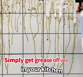 Natural Enzyme Liquid Cleaner