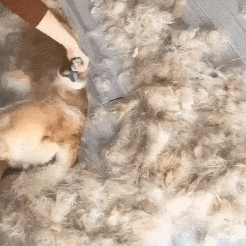 Pet Grooming Tool