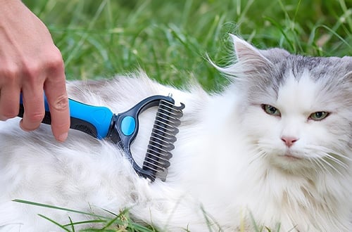 Pet Grooming Tool